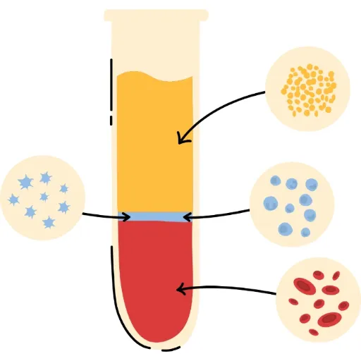 Comprendre sa biologie sanguine